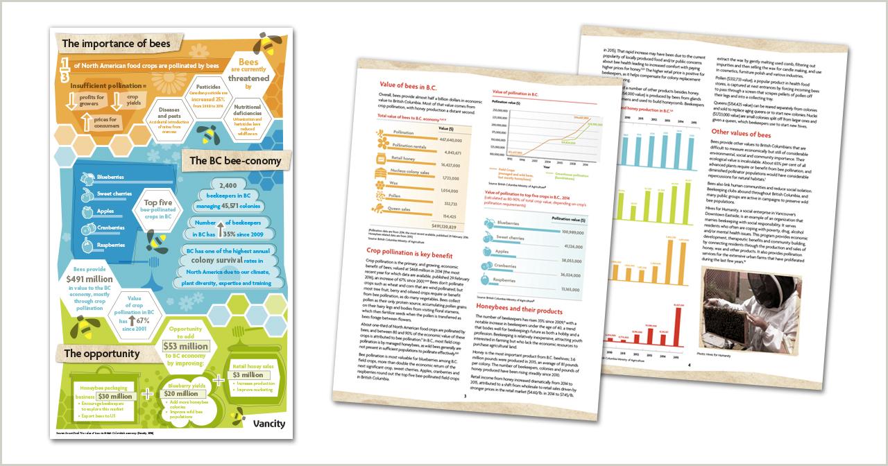 Vancity - Bees infographic